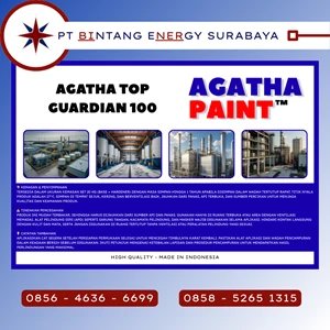 Pratinjau AGATHA PAINT - AGATHA TOP GUARDIAN 100
